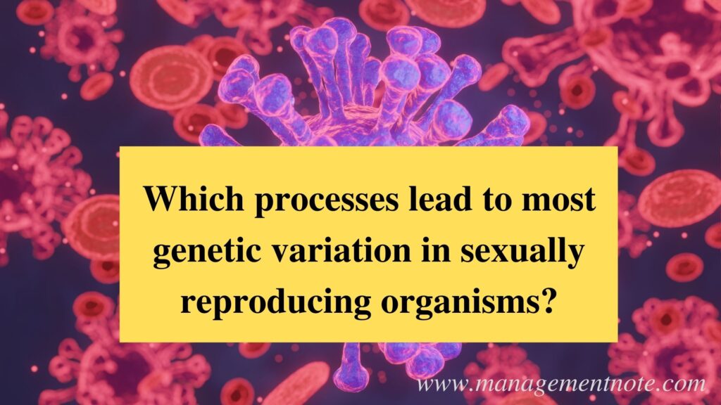 Which processes lead to most genetic variation in sexually reproducing organisms?